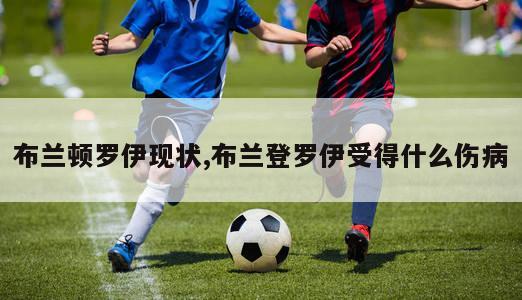 布兰顿罗伊现状,布兰登罗伊受得什么伤病