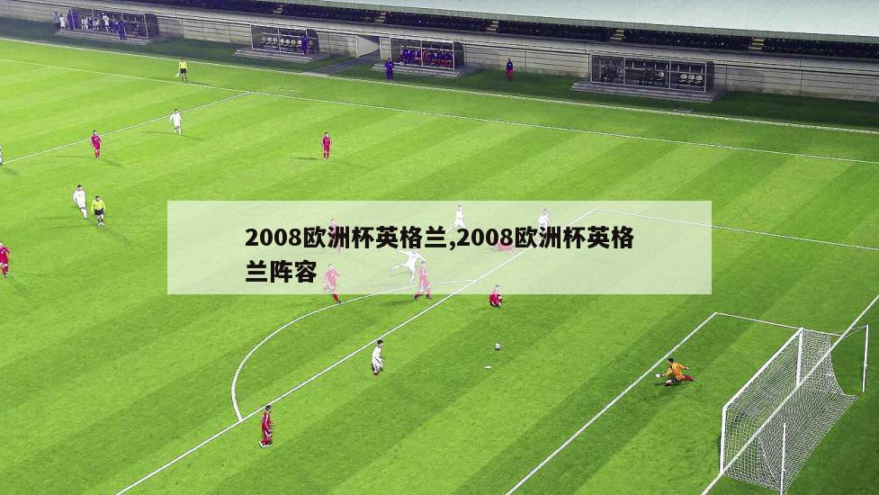 2008欧洲杯英格兰,2008欧洲杯英格兰阵容