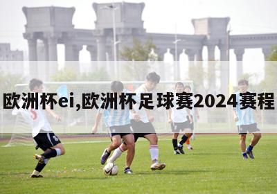 欧洲杯ei,欧洲杯足球赛2024赛程