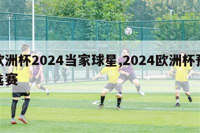 欧洲杯2024当家球星,2024欧洲杯预选赛