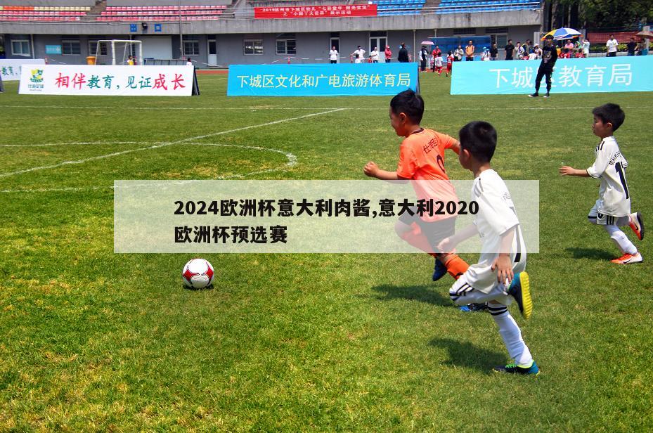 2024欧洲杯意大利肉酱,意大利2020欧洲杯预选赛