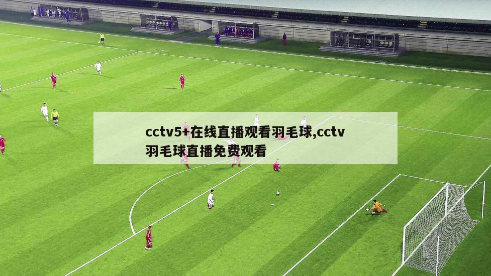 cctv5+在线直播观看羽毛球,cctv羽毛球直播免费观看
