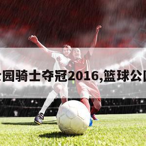 篮球公园骑士夺冠2016,篮球公园11冠