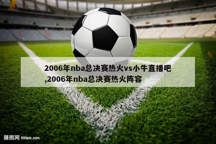 2006年nba总决赛热火vs小牛直播吧,2006年nba总决赛热火阵容